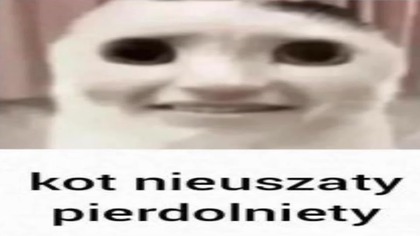 Historia Nickelodeon Polska od 2008 do 2020 (NIEKOMPLETNE)