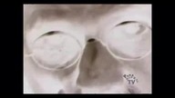 Paranormal TV