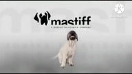 Mastiff TV Logo History
