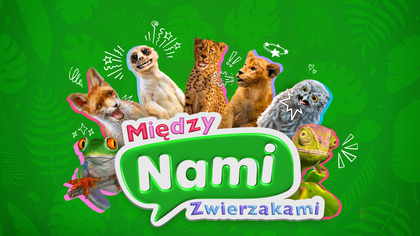 Między nami zwierzakami S01E01 Dubbing PL