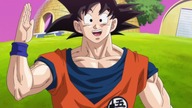 Kanon w Dragon Ball NIE ISTNIEJE!!!