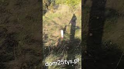 Tutaj będzie kolejny Adaś XL 98m2 