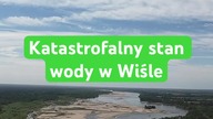 Katastrofalny stan wody w Wiśle.  #katastrofa #wisla #rzeka