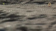 Focus - Nóżki 1080p