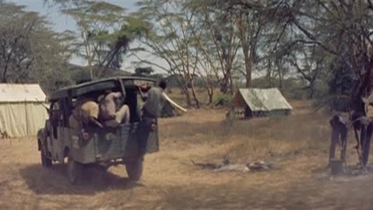 Safari [1956] DVDRiP. AC3.  wgrane NAPISY PL