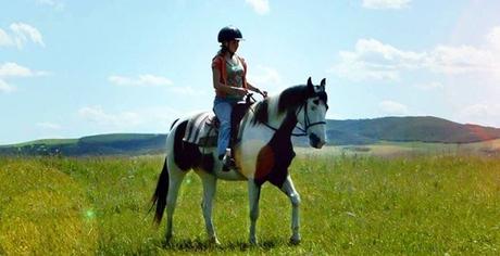 Skok po marzenia (2007)