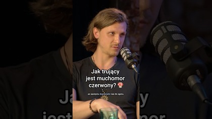 Muchomor czerwony - cała prawda  Ile było zatruć muchomorem przez 20 lat? Kuba Jezierski Mam Temat