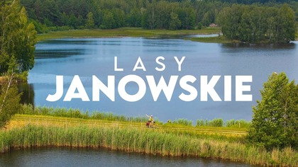 Lasy Janowskie - najlepsze leśne trasy na rower w Polsce  Duże zaskoczenie!