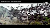 Shapeshifters From Movies And Series Part Six - Snakes