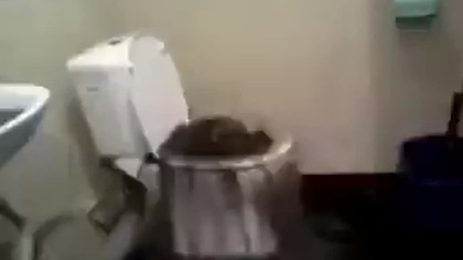 Funny memes i found on discord | part 1