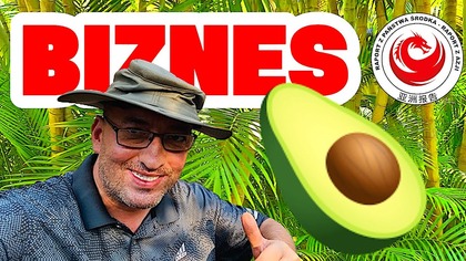 Otwieram małą plantację avocado