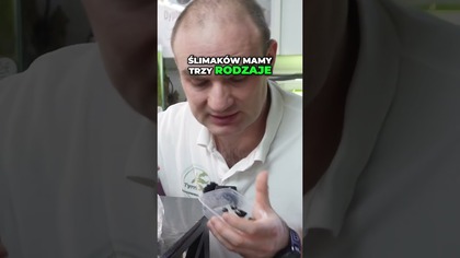  Nowi mieszkańcy  Ekipa czyszcząca do akwarium.  #akwarium #akwarystyka #glony