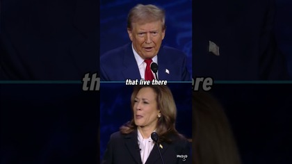 Theyre Eating The Dogs In Springfield!