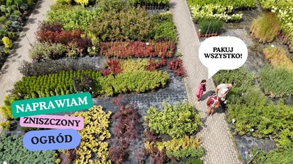 Fotowoltaika zniszczyła mi ogród.  Jadę to naprawić