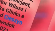 niech mi ktoś podpowie czy to jest możliwe?
