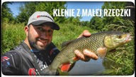 KLENIE z małej rzeczki // Lipiec 2025