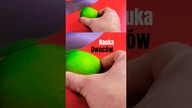 Nauka owoców dla dzieci - gruszka
