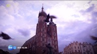 TVN - Zapowiedź transmisji zawodów Pucharu Świata w wspinaczce na czas z Krakowa (06. 07. 202