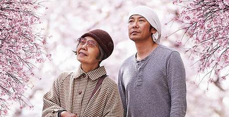 Kwiat wiśni i czerwona fasola (2015)