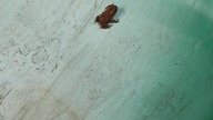 Żabka na równej pochyłej :)