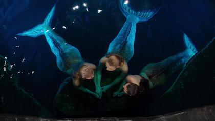 Mako Mermaids: Syreny z Mako S01E21 Dubbing PL