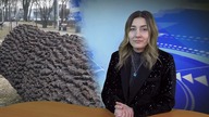 Jaworexpress 13. 02. 2025 - Wiadomości telewizyjne