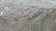Wieczór na plaży! Spokojny Bałtyk i zachód słońca! Bimbi Morski i Plażowy! Pozdrawiamy!
