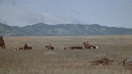 Tom.  Horn.  (1980)