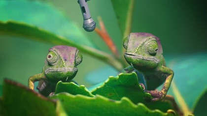 Między nami zwierzakami S01E03 Dubbing PL