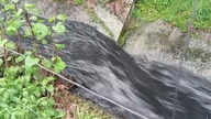Ścieki wpuszczone do Wąwolnicy - mieszkańcy Jelenia alarmują