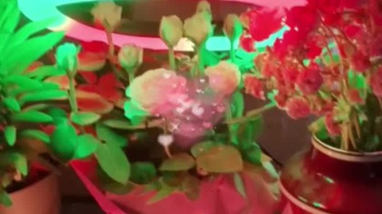 Live https://www. tiktok. com/@jessikaland159?_tZN-8xoG8QrLnnC&_r1