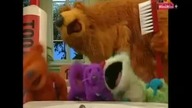 Nocowanie u Misia