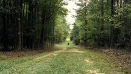Off the Grid. napisy