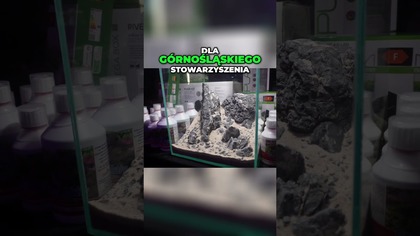 Śląskiej Weekedn Akwarystyczny.