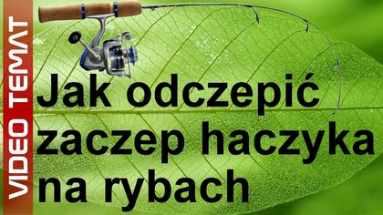 Jak odczepić zaczepiony haczyk na rybach