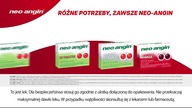Wielkie koty: naukowe spojrzenie (2018)