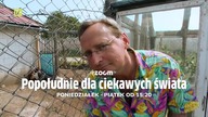 Zdrajca (2008)