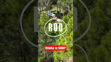 Działka za 5tys czyli ROD rodzinne ogródki działkowe, co postawisz #rod #budowadomu #domekletniskowy