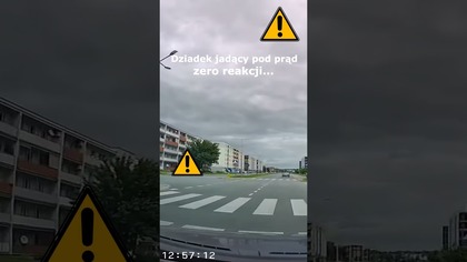Dziadek jadący pod prąd - zero reakcji #shorts #rikordwidjo