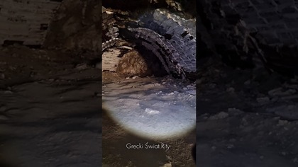 Tajemniczy tunel przy dziwnej jaskini Davelis w Grecji  #grecja #tunel #urbexgreece