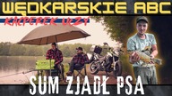 2-metrowy sum wciągnął psa pod wodę.  JAK ŁOWIĆ RYBY? czego nie robić? Wons słucha, KACPEREK MÓWI.