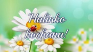 Halinko kochana! W dniu imienin Twoich 