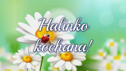 Halinko kochana! W dniu imienin Twoich 