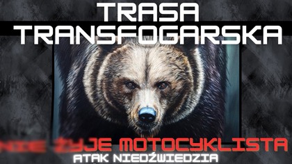 RUMUNIA: MOTOCYKLISTA ZAATAKOWANY PRZEZ NIEDŹWIEDZIA NA TRANSFOGARASKIEJ.  POSTĄPIŁBYŚ TAK?