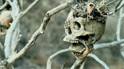 Bone Tomahawk (2015) Lektor PL