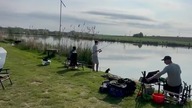 Majówka i margin fishing na łowisku Tarnowski Sad.  Link do filmu w komentarzach.  #tarnowskisad
