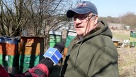 Wandal zniszczył pasiekę.  11 zdewastowanych uli i zabite pszczoły