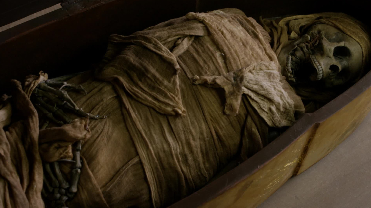 Bibliotekarze S03E10 Lektor PL