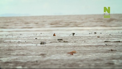 Ziemskie dziwy (2024) - Gangsterzy