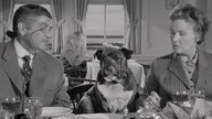 Statek szaleńców 1965 lektor pl